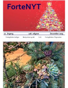 ForteNyt_dec._2025